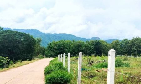 ขายที่ดิน - ที่ดินพร้อมสวนผลไม้ผสม กลางเนิน วิวสวย อุตรดิตถ์