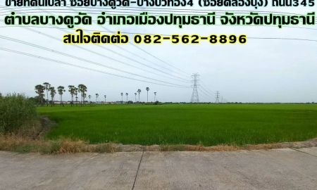 ขายที่ดิน - ขายที่ดินเปล่า ซอยบางคูวัด-บางบัวทอง4 (ซอยคลองบุ้ง) ถนน345