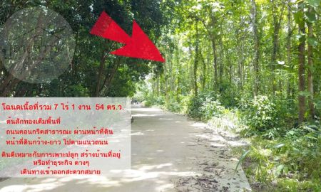ขายที่ดิน - ขายที่ดินสวนสัก จ.น่าน โฉนดเนื้อที่ 7 ไร่ 1 งาน 54 ตร.ว.