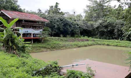 ขายที่ดิน - ขายที่ดิน(สวนยาง) พื้นที่ 25 ไร่ *โฉนดครุฑแดง*