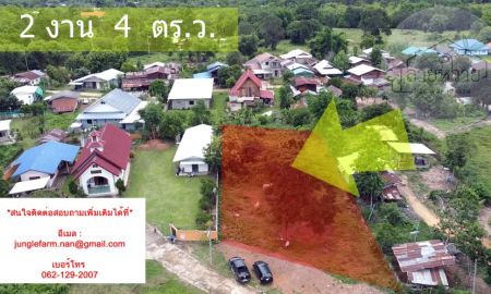 ขายที่ดิน - ขายที่ดินสวย(สี่เหลี่ยมผืนผ้า) จ.น่าน เนื้อที่รวม 2 งาน 4 ตร.ว.