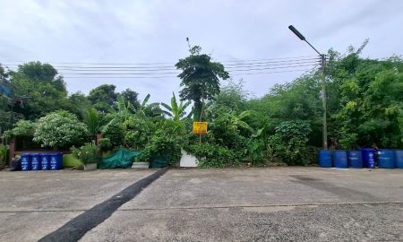 ขายที่ดิน - ขายที่ดิน ในหมู่บ้านหมอนทอง คลอง8 ลำลูกกา
