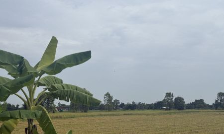 ขายที่ดิน - ที่ดินเขาย้อย ใกล้เพชรเกษม หนองชุมพลเหนือ