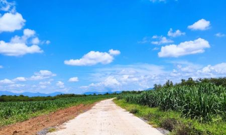 ขายที่ดิน - ขายที่ดินเปล่า 125-2-4 ไร่ (ต.ตำหนักธรรม อ.หนองม่วงไข่ จ.แพร่)