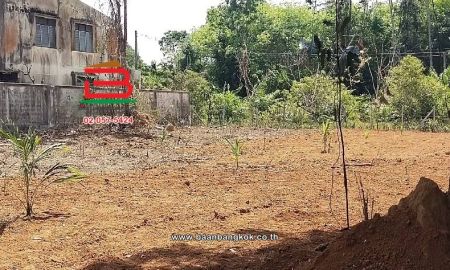 ขายที่ดิน - ที่ดินเปล่า อำเภอควนขนุน เนื้อที่ 950 ตร.ว ตำบลควนขนุน อำเภอควนขนุน จังหวัดพัทลุง