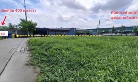 ขายที่ดิน - ขายที่ดิน 403 ตรว.ซ.หทัยราษฏร์ 31 เข้าซอยประมาณ 100 ม.ใกล้ตลาดสุวรรณเกลียวทอง,มีเซเว่น,CJ หน้าปากซอย มีนบุรี กรุงเทพ