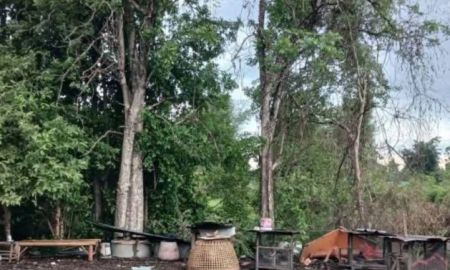 ขายที่ดิน - ขายที่ดินตำบลบ้านแหวนหางดงใกล้กาดฝรั่งพร้อมโอน