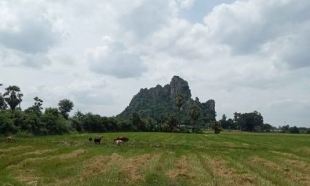 ขายที่ดิน - ขายที่ดินเปล่า ใกล้ชุมชนตลาด เขาย้อย เพชรบุรี
