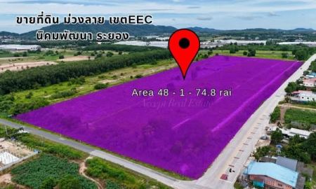 ขายที่ดิน - ที่ดินแปลงใหญ่ทำเลดี กลางนิคมเศรษฐกิจ EEC นิคมพัฒนา ระยอง 48-1-74.8 ไร่