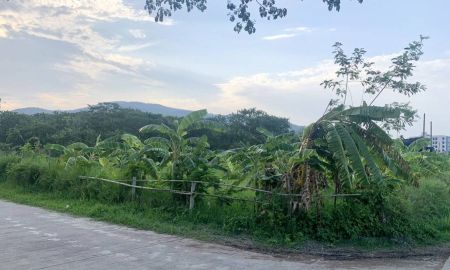 ขายที่ดิน - ขายที่ดินตำบลสุเทพห่างเทศบาลสุเทพเพียง 800เมตร