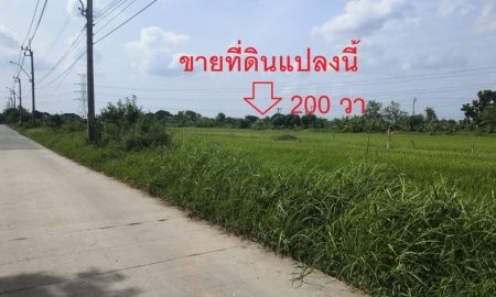 ขายที่ดิน - ขายถูก ๆ ที่ดินเปล่าสวยมาก 200 วา ซอยราษฏร์อุทิศ 46