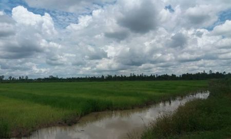 ขายที่ดิน - ขายที่ดินแปลงใหญ่ 635 ไร่ พรานกระต่าย จ.กำแพงเพชร พร้อมผู้เช่า | รายได้ทันที | ติดคลองใหญ่ | ราคาถูกมาก!
