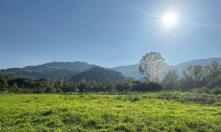 ขายที่ดิน - ขายที่ดินใกล้เขาใหญ่ 432 ตร.วา ใกล้ถนนธนะรัชต์ ตำบลหมูสี ปากช่อง นครราชสีมา 3 นาที ถึงทางขึ้นเขาใหญ่