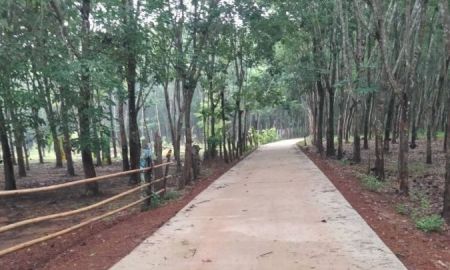 ขายที่ดิน - ราคาถูก ขายที่ดินพร้อมยางพารา ต.นาหนาด อ.ธาตุพนม จ.นครพนม