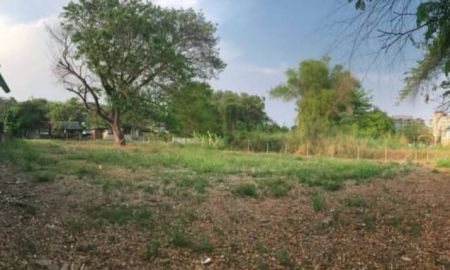 ขายที่ดิน - ขายที่ดินตำบลสุเทพใกล้วัดร่ำเปิงสุเทพวิวดอยสุเทพพร้อมโอน