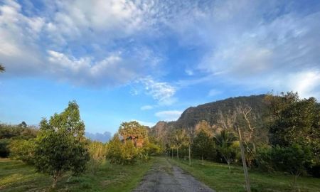 ขายที่ดิน - ขายที่ดินพร้อมสวนทุเรียน ทำเลดี เดินทางสะดวก ตำบลฉลุง อำเภอเมืองสตูล จังหวัดสตูล