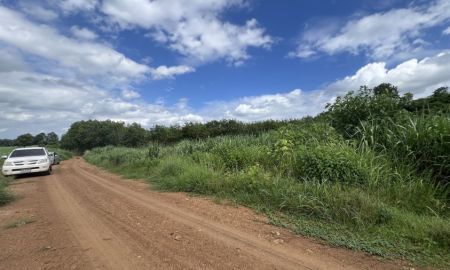 ขายที่ดิน - ที่ดิน 10-0-60 ไร่ ขายเหมา 950,000บาท ต.โนนภูทอง อ.ผาขาว จ.เลย