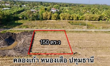 ขายที่ดิน - ขายที่ดิน คลอง 9 เนื้อที่ 150 ตรว. หนองเสือ ปทุมธานี