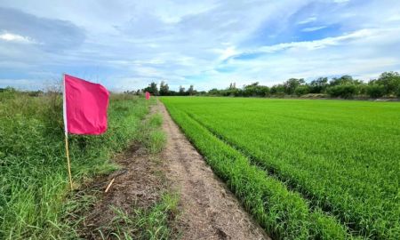 ขายที่ดิน - ขายที่ดินผ่อน เริ่มต้น 100 ตรว ใกล้ มศว.องครักษ์ นครนายก