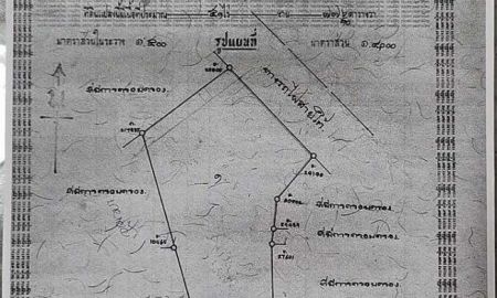 ขายที่ดิน - ขายที่ดินสวนยางในตันหยงมัส เจ้าของขายที่เอง