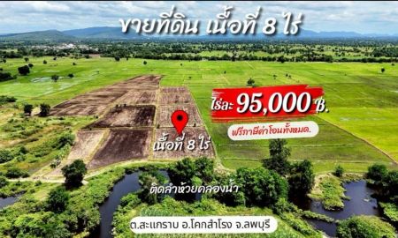 ขายที่ดิน - ขายที่ดิน เนื้อที่ 8 ไร่ ต.สะแกราบ โคกสำโรง ลพบุรี