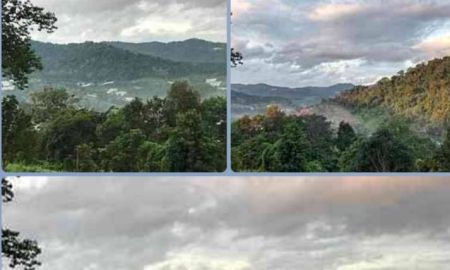 ขายที่ดิน - ขายที่บนเนินดอยโป่งแยงนอกวิวสวยอากาศดีโฉนดพร้อมโอน
