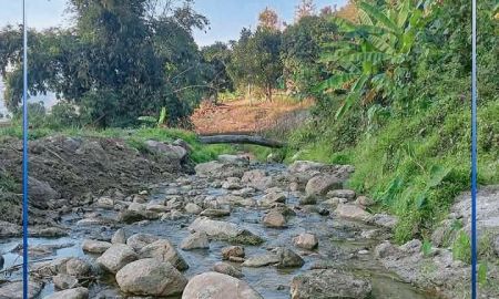 ขายที่ดิน - ขายที่ดินบนดอยสะเมิงสะเมิงเหนือติดน้ำลำธารโฉนดพร้อมโอน