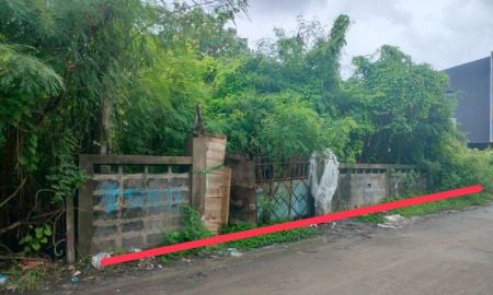 ขายที่ดิน - ขายถูกที่ดิน ซอยเฉลิมพระเกียรติ ร.9 48 แยก13 แขวงดอกไม้ เขตประเวศ กรุงเทพฯ