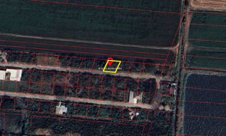 ขายที่ดิน - ขายที่ดิน ลำลูกกา คลอง 9 หมู่บ้านสวนเก้าพัฒนา เนื้อที่ 70.2 ตร.ว. ถมแล้ว