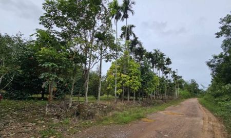 ขายที่ดิน - ขายสวนผลไม้ สวนผสม อำเภอท่าใหม่ จันทบุรี