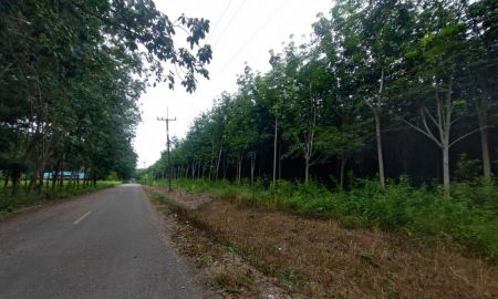 ขายที่ดิน - ขายที่ดินพร้อมสวนยางบ้านค่าย ใกล้วัดเนินสว่าง ใกล้โรงเรียน 2 แปลง 92 ไร่ 298 ตรว.