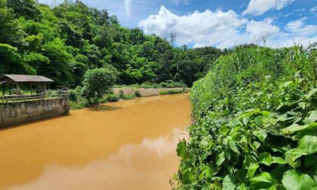 ขายที่ดิน - ขายที่สวนเชียงดาวติดน้ำใกล้น้ำพุร้อนโป่งอ่าง 700 เมตร