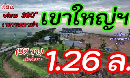ขายที่ดิน - ขายที่ดินเขาใหญ่ บนเนินเขา *วิว360องศา เริ่ม 1.26 ล้านบท (สูง 440 ม.) ( ที่ดินจัดสรรฯ แบ่งแปลง เริ่มต้น 97วา 13,000บ./วา. ) อากาศบริสุทธิ์ (ราคาพิเศษ)