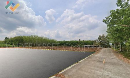 ขายที่ดิน - ที่ดิน โคกหล่อ เมืองตรัง ตรัง สวนปาล์ม ใกล้สนามบิน ราคาถูก