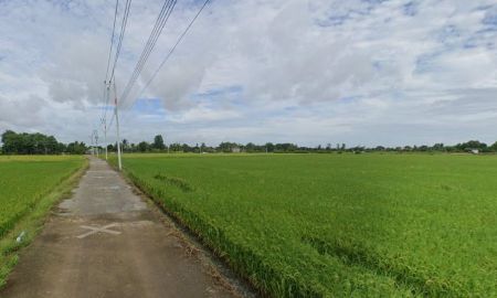 ขายที่ดิน - ขายที่ดินบางเตย 10 ไร่ ติดคลองติดถนนคอนกรีตใกล้ถนนวงแหวนตัดใหม่365-5กม. เมืองฉะเชิงเทรา