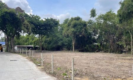 ขายที่ดิน - ขายที่ดินนาเขื่อน(นาป่า)ติดถนนคอนกรีต2ด้านเนื้อที่ 267ตรว. ใกล้ถ.เลียบมอเตอร์เวย์7-90เมตร ใกล้อบต.สำนักบก-2กม. เมืองชลบุรี