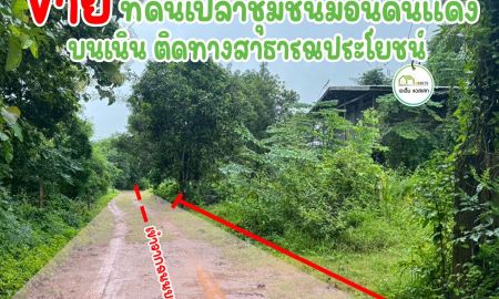 ขายที่ดิน - ที่ดินใกล้ถนนบายพาสสายใหม่ เพียง100เมตร บ้านม่อนดินแดง เมืองอุตรดิตถ์ ราคาถูก