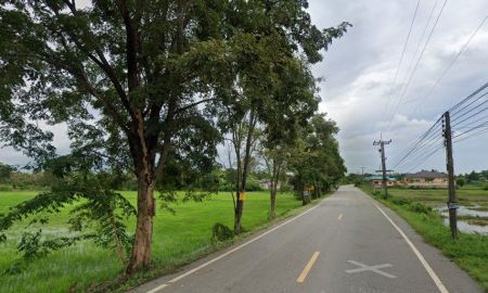 ขายที่ดิน - ขายที่ดินหนองเหียง 15 ไร่ ติดถนนลาดยาง ใกล้ถนนเส้น331-3กม. อ.พนัสนิคม ชลบุรี