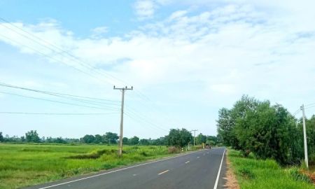 ขายที่ดิน - ที่นา ทำเลดี หน้าติดถนนสายหลัก หลังติดคลอง ราคาถูก