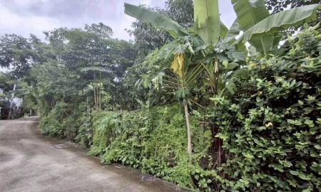ขายที่ดิน - ขายที่ดินติดถนนคอนกรีตตรงข้ามศาลากลางเชียงใหม่พร้อมโอน