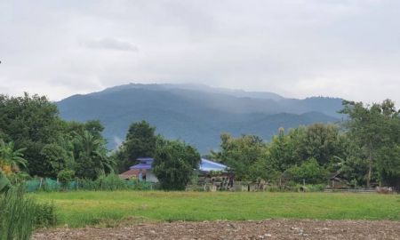 ขายที่ดิน - ขายที่ดินตำบลสุเทพบ้านช่างทองใกล้มหาวิทยาลัยเชียงใหม่ แบ่งขายราคาถูก