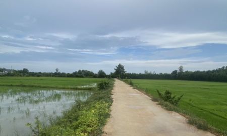ขายที่ดิน - ขายที่นา 5 ไร่ 1 งาน ต.เมืองใหม่ อ.ราชสาส์น จ.ฉะเชิงเทรา เหมาะกับทำการเกษตร