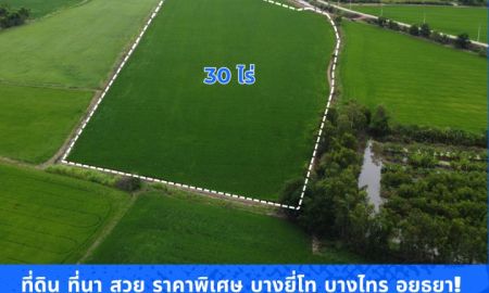 ขายที่ดิน - ที่ดิน ที่นา บางไทร อยุธยา! สวย ราคาพิเศษ ขนาด 30 ไร่ โฉนดครุฑแดง ติดถนนคอนกรีต ขายถูกที่สุดในย่านนี้