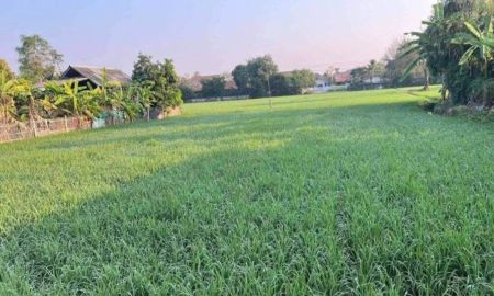 ขายที่ดิน - ขายที่ดินตำบลต้นเปาสันกำแพงใกล้สามแยกสันป่าค่าโฉนดพร้อมโอน