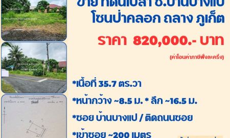 ขายที่ดิน - ขายที่ดินเปล่าแบ่งขาย บางแป ถลาง ภูเก็ต ราคาไม่เกินล้าน