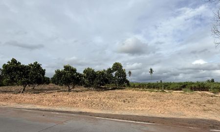 ขายที่ดิน - ขายที่ดินหนองขามเขาดิน 5 ไร่ หนองยายบู่ซอย5 หลังนิคมปิ่นทอง1 ใกล้ถนน331-2กม. อ.ศรีราชา ชลบุรี