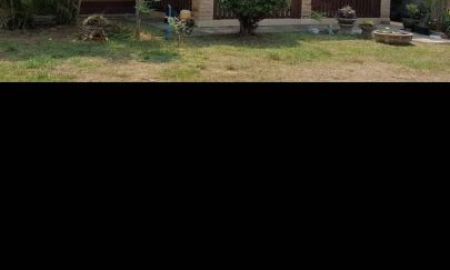 ให้เช่าบ้าน - ขายหรือให้เช่าบ้านเดี่ยว 2 นอน 2 นํ้าเนื้อที่กว้าง 1 ไร่ อ.ประจักษ์ศิลปาคม ต.ห้วยสามพาด อุดร