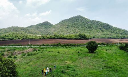 ขายที่ดิน - ขายที่ดินจัดสรรวิวเขาสวย ทำเลทอง 100 ตรว.วังม่วง สระบุรั