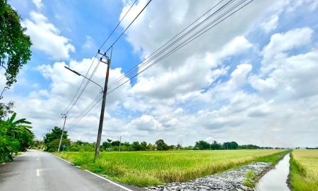 ขายที่ดิน - ขายที่ดินแปลงสวยหนามแดง 4 ไร่ ติดถนน2ด้านซอยคลองนครเนื่องเขต13 ใกล้ถนนสุวินทวงศ์304-3.9กม. เมืองฉะเชิงเทรา