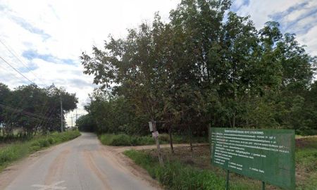 ขายที่ดิน - ขายที่ดินปลวกแดงสีม่วงลาย 13 ไร่ ซอยมาบยางพร15/17 ใกล้นิคมอีสเทิร์นซีบอร์ด-10กม. จ.ระยอง